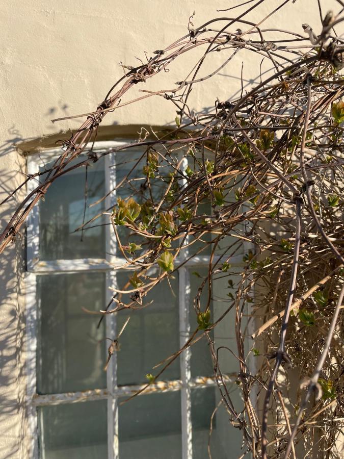 Feriehus I Skon Natur Stenstrup 外观 照片