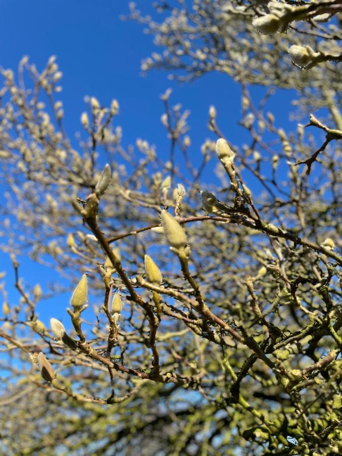 Feriehus I Skon Natur Stenstrup 外观 照片